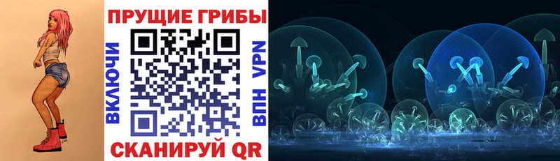Галлюциногенные грибы Psilocybine cubensis  Щёлково 